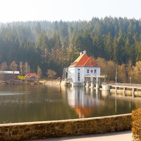 Ferienhaus Nr 15, Typ A, Feriendorf Jaegerpark, Bayerischer Wald Viechtach Eksteriør billede
