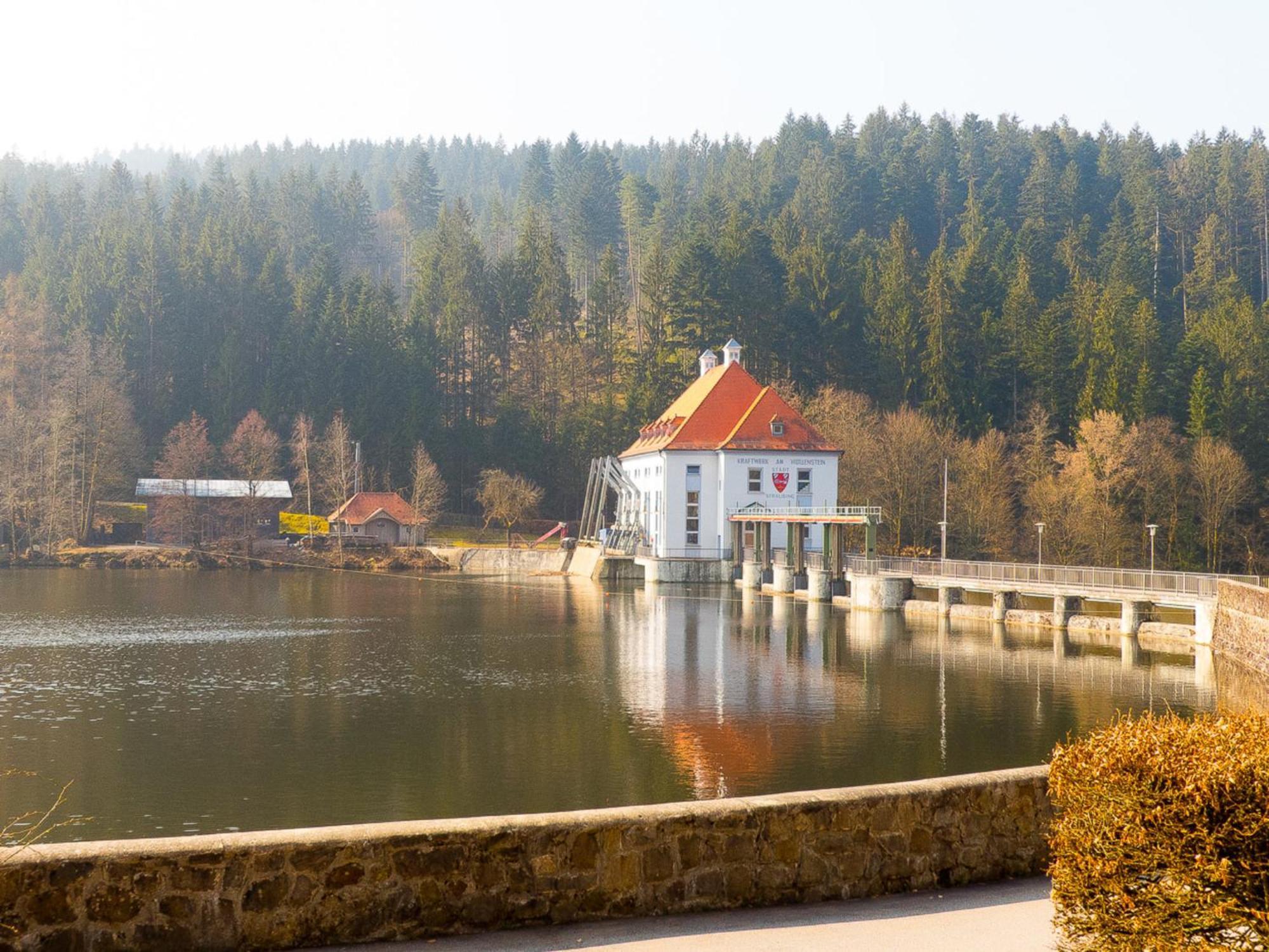 Ferienhaus Nr 15, Typ A, Feriendorf Jaegerpark, Bayerischer Wald Viechtach Eksteriør billede